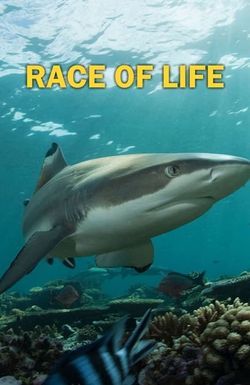 Race of Life