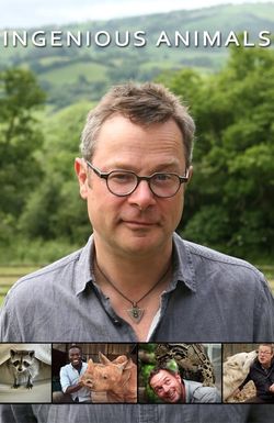 Ingenious Animals