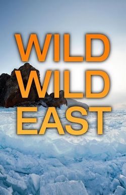 Wild Wild East