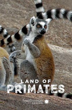 Land of Primates