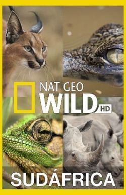 Wild South Africa