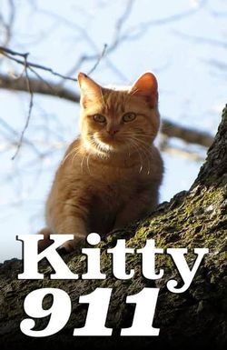 Kitty 911