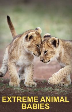 Extreme Animal Babies