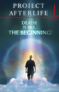 Project Afterlife