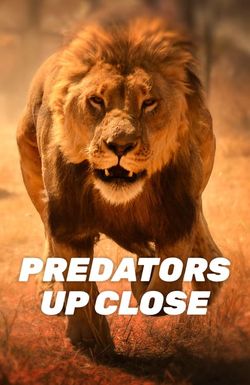 Predators Up Close with Joel Lambert