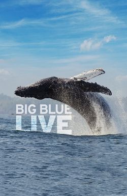 Big Blue Live