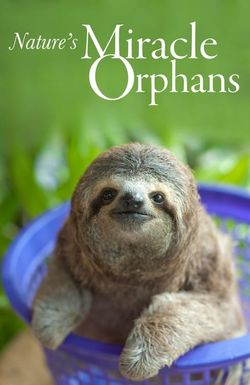 Nature's Miracle Orphans