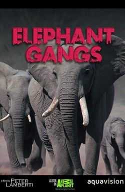 Gangland Killers