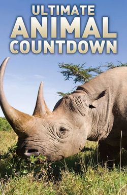 Ultimate Animal Countdown