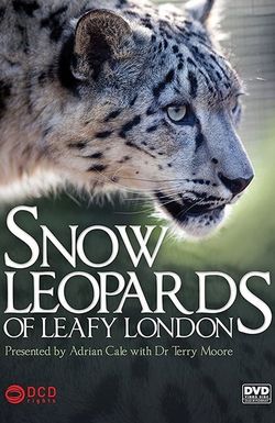 Snow Leopards of Leafy London