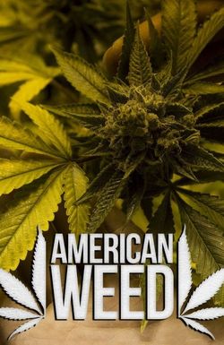 American Weed