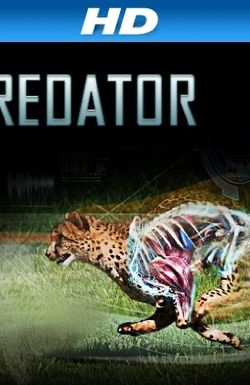 I, Predator