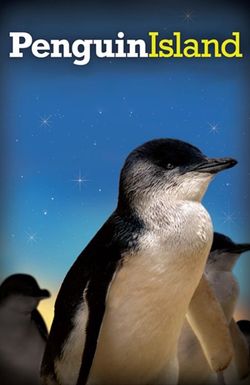 Penguin Island