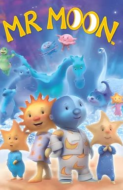Mr Moon