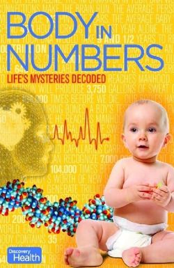 Body in Numbers