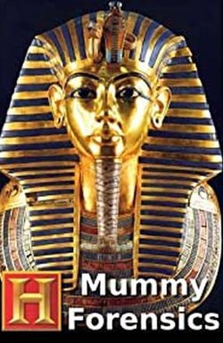 Mummy Forensics