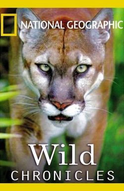 Wild Chronicles