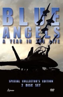 Blue Angels: A Year in the Life