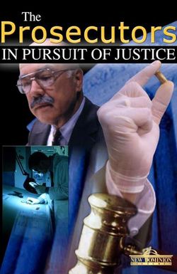 The Prosecutors: In Pursuit of Justice