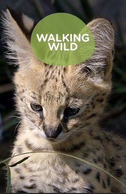 Walking Wild at the San Diego Zoo