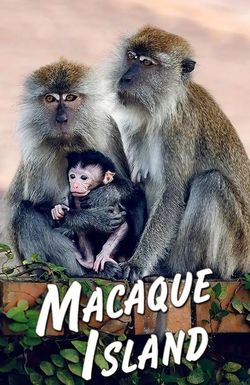 Macaque Island