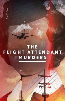 The Flight Attendant Murders