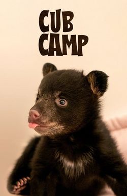 Cub Camp