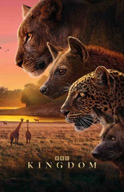 Kingdom