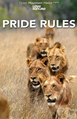 Pride Rules