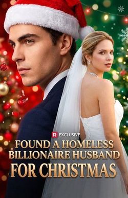 Found a Homeless Billionaire Husband for Christmas