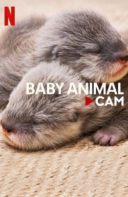 Baby Animal Cam