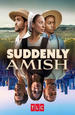 Suddenly Amish