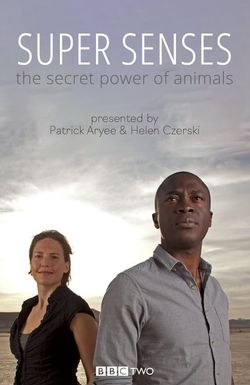 Super Senses: The Secret Power of Animals