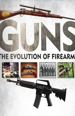 Guns: The Evolution of Firearms