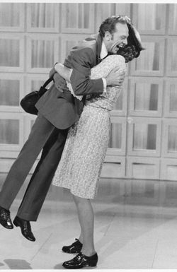 The Don Knotts Show