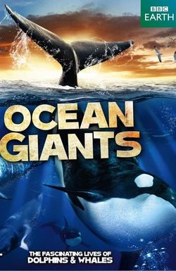 Ocean Giants