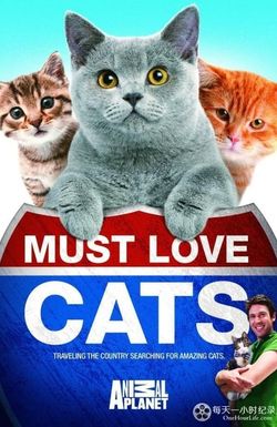 Must Love Cats