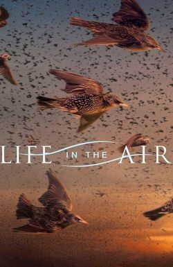 Life in the Air