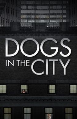 Dogs in the City