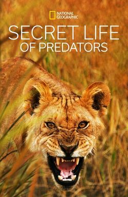 Secret Life of Predators