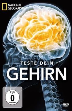 Test Your Brain