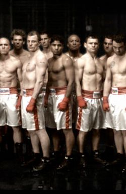 The Contender Australia