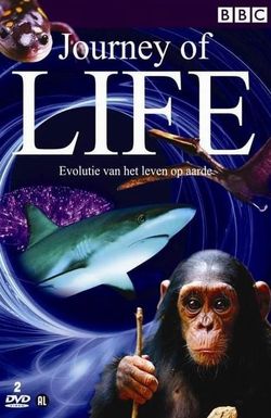 Journey of Life