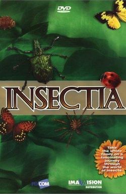 Insectia