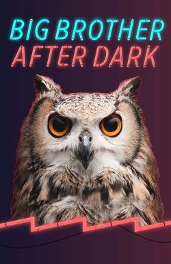 Big Brother: After Dark