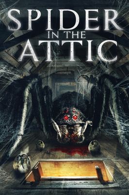 Spider in the Attic