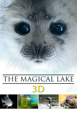 Tale of a Lake