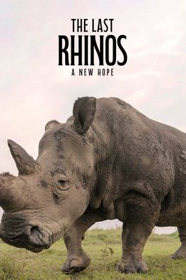 The Last Rhinos: A New Hope