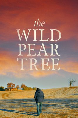 The Wild Pear Tree