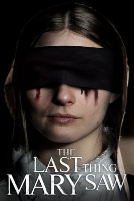 The Last Thing Mary Saw